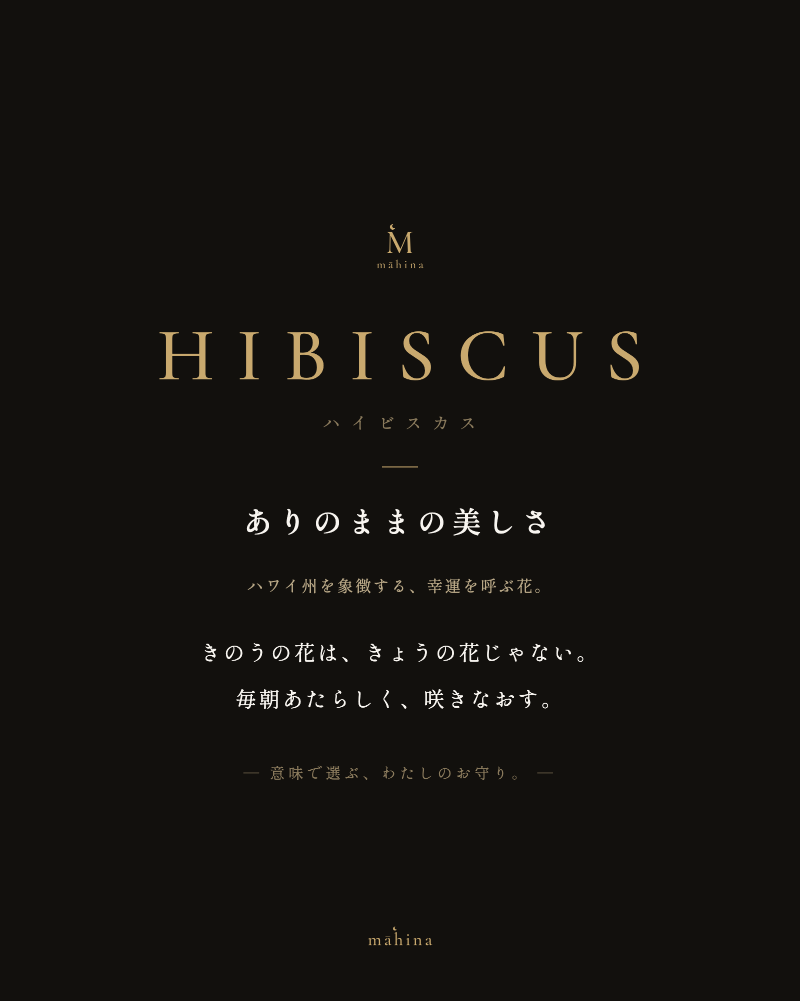 モチーフの意味カード｜ハイビスカス